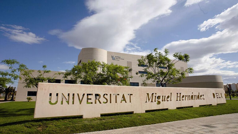 Universidad Miguel Hernández
