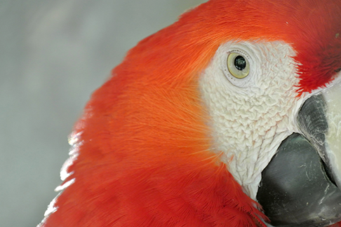 biodiversidad