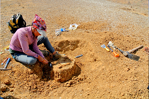 paleontologia.png