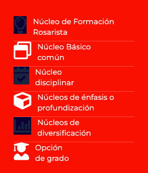 plan-de-estudios.png