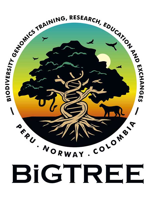 bigtree training