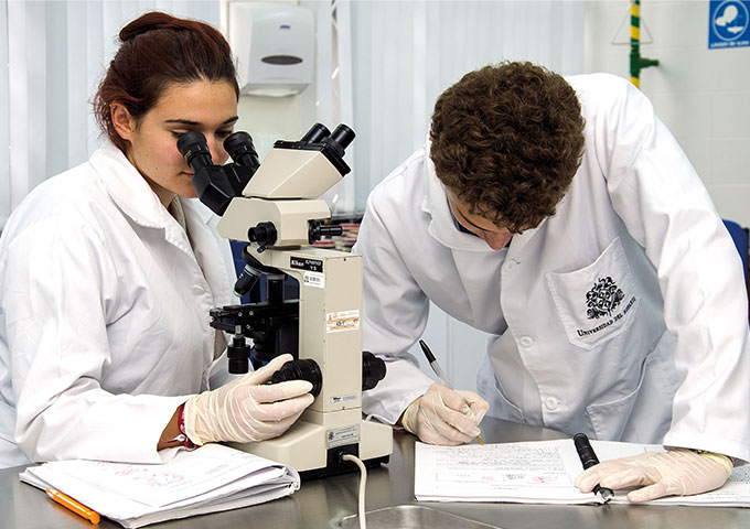 Investigación 