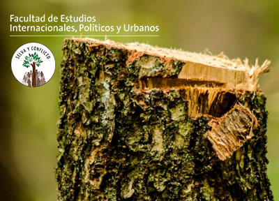 selva y conflicto