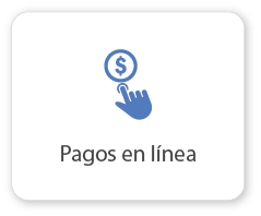 Pagos en linea