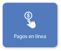 Pagos en linea 2