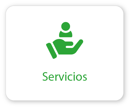 Servicios