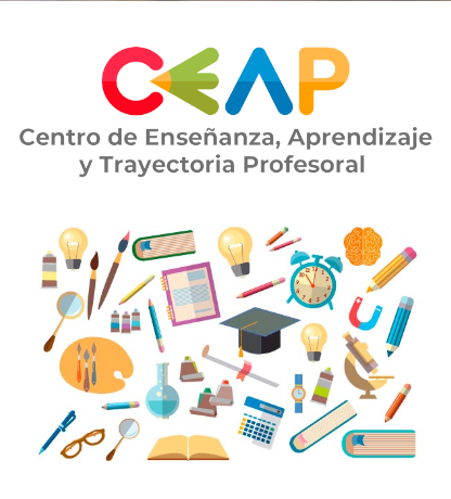 Acompañamiento pedagógico