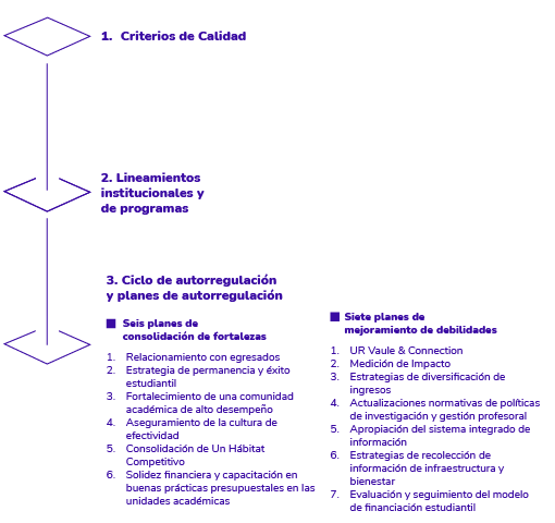 autorregulacion institucional