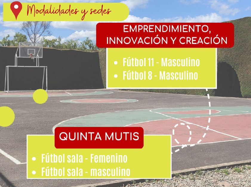 liga horario