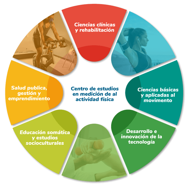 lineas de investigación cema
