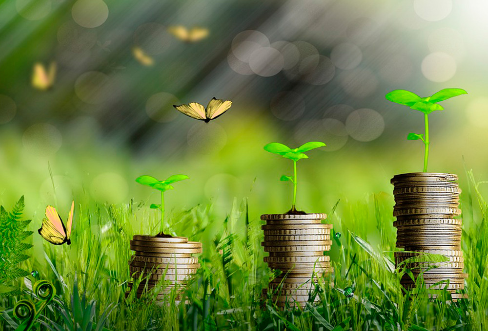 Sustainable Business Strategy