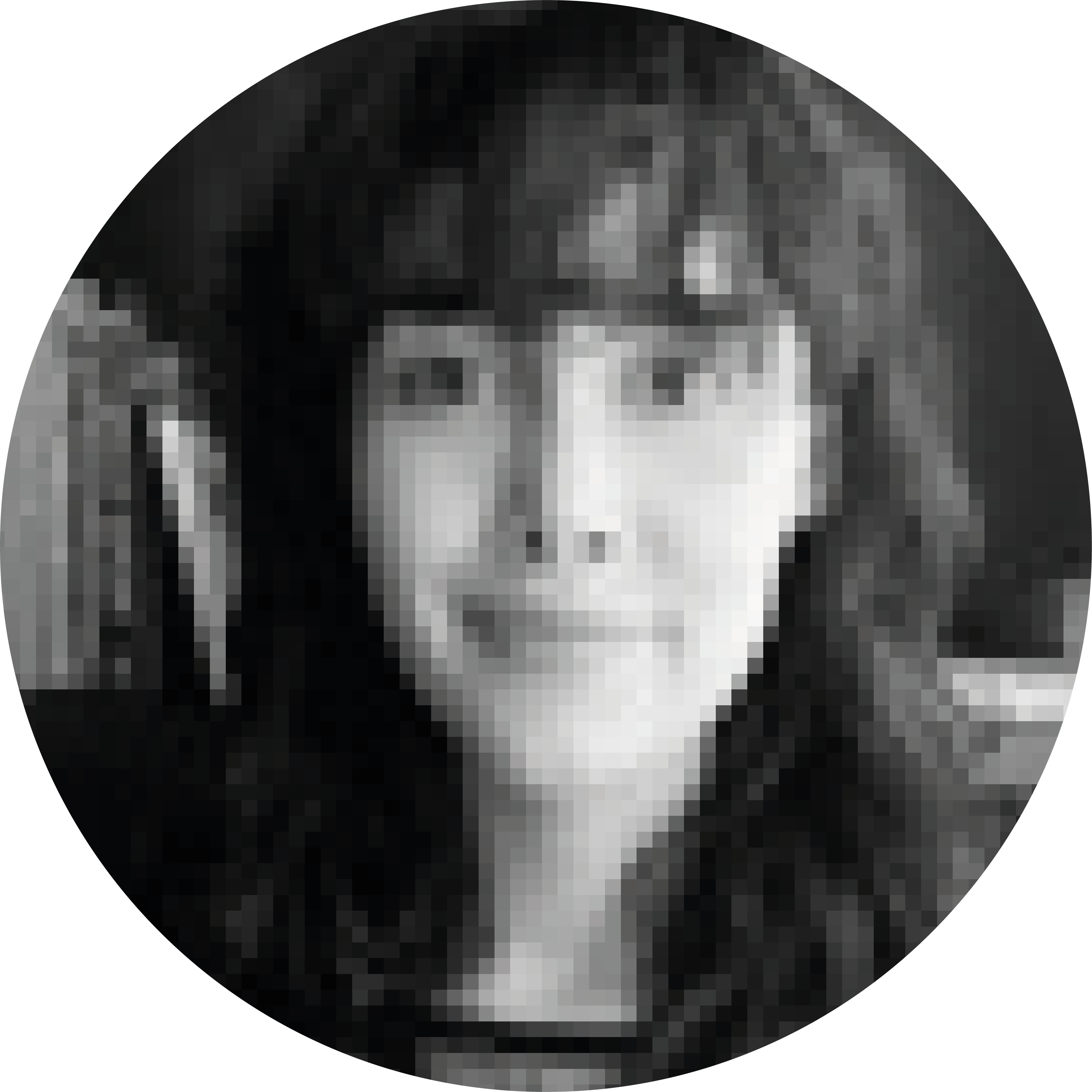corte_de_columna_daniella_monrroy.png