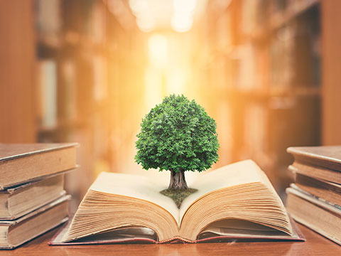 Educación en Ciencias Naturales y Matemáticas