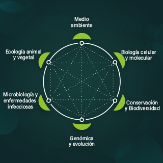 Nuestras fortalezas