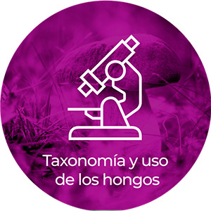 Taxonomía y uso de los hongos