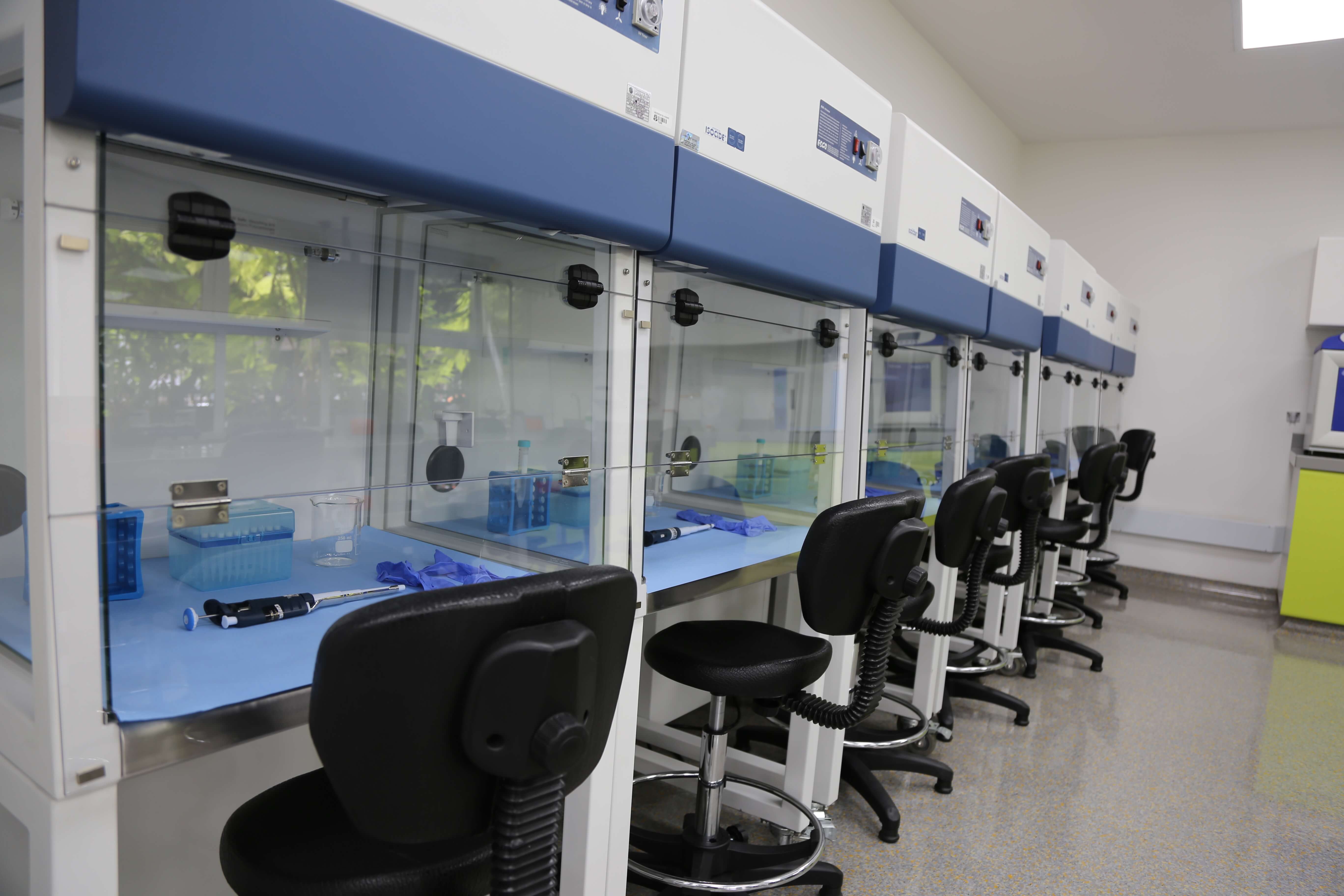 laboratorio.jpg