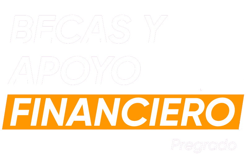 Becas y apoyo financiero pregrado