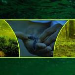Encuentro Así es como conservamos: experiencias y narrativas locales de conservación ambiental