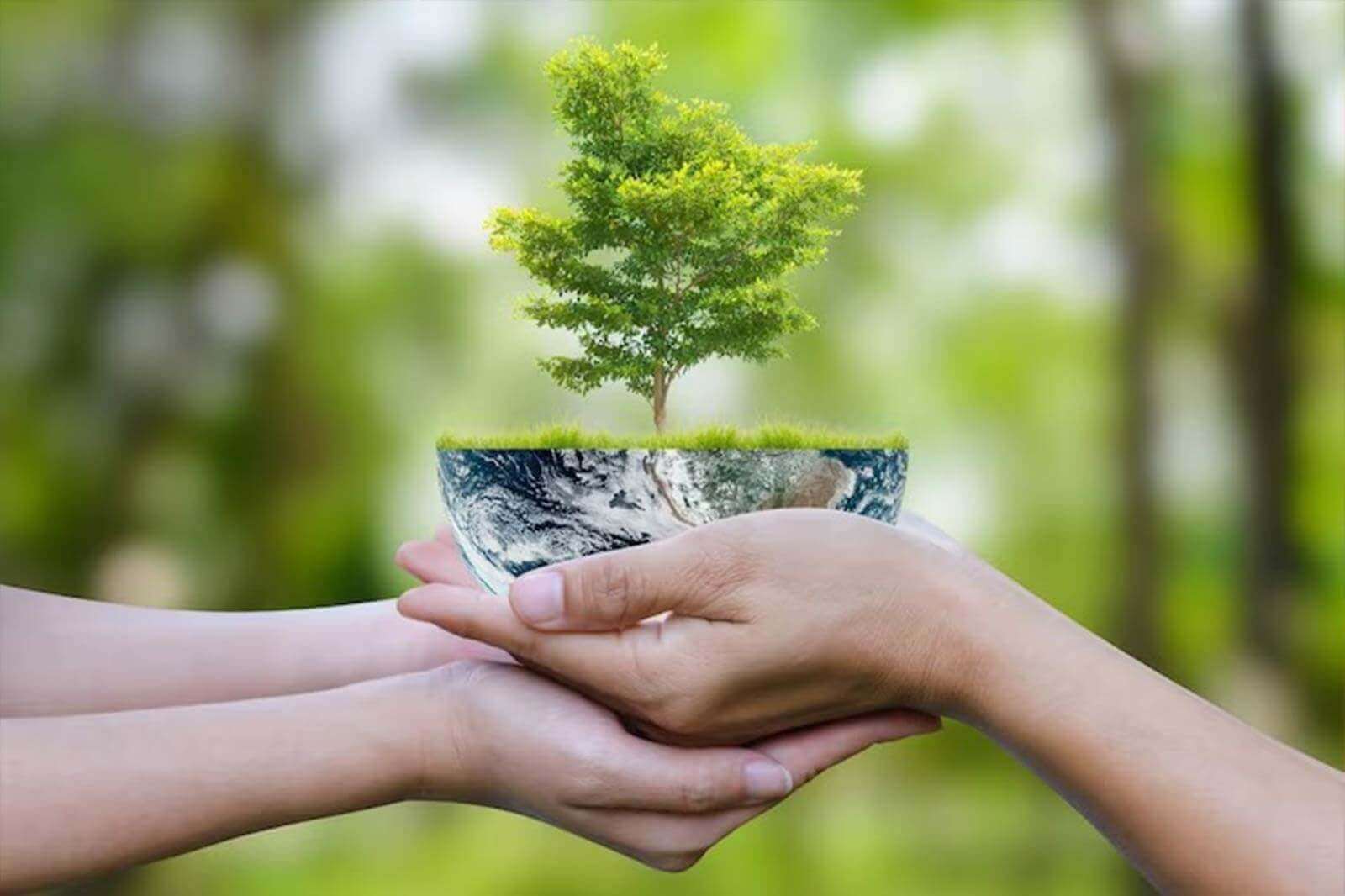 Grupo 2: Ecosistemas, Comunidades e Interacciones en el Neotrópico
