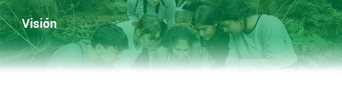 Visión gestión ambiental