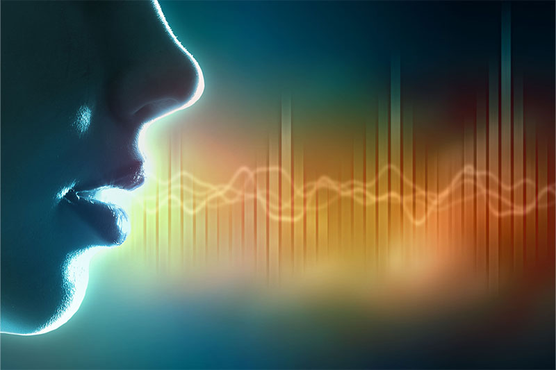 Hability Lab: Comunicación Humana y Habilidades Procedimentales