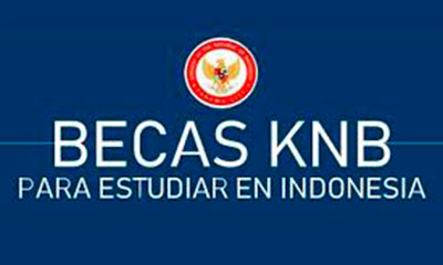 logo-knb