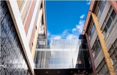 Consultora boutique