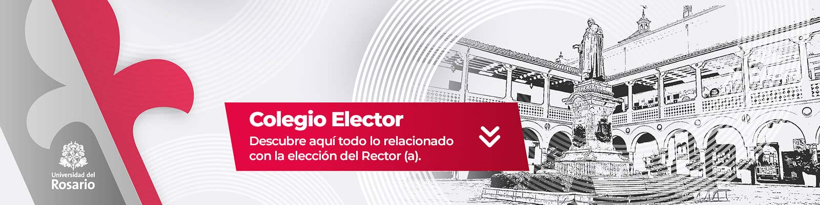 Colegio elector