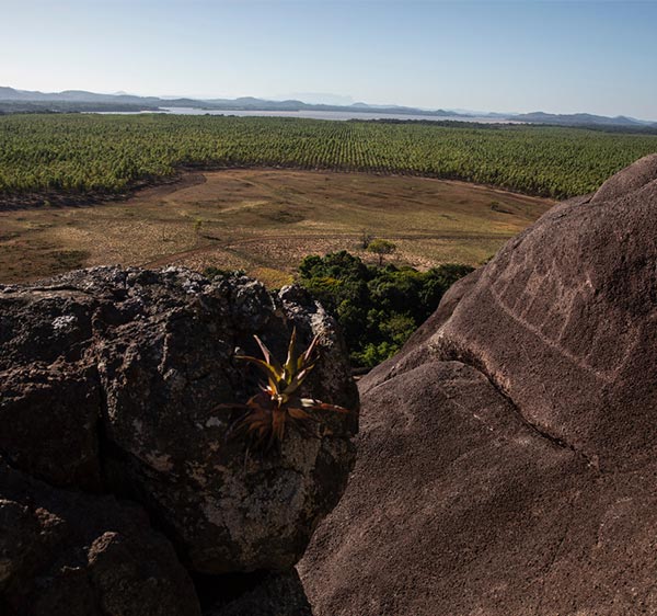 Cerro Dagua  contigua al Río Orinoco