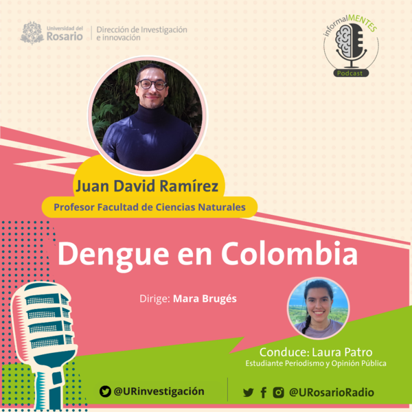 InformalMentes-Dengue