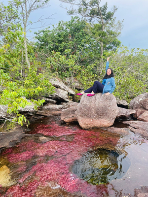 ruta-pais-caño-cristales