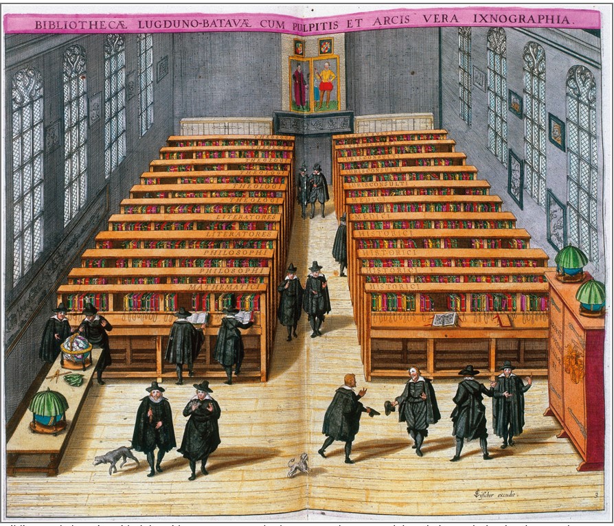 biblioteca-de-la-universidad