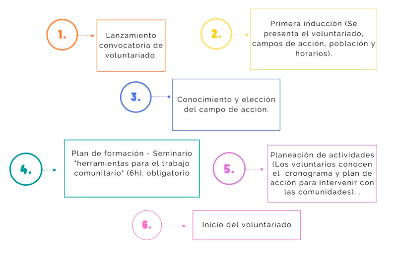 proceso de voluntariado