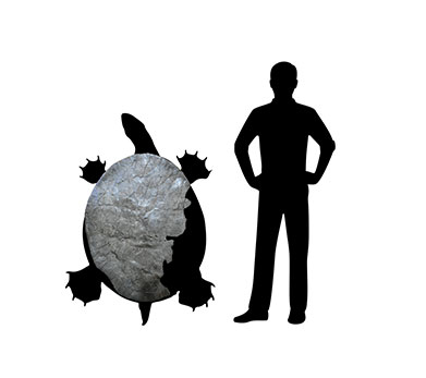 puentemys-mushaisaensis-socha.jpg