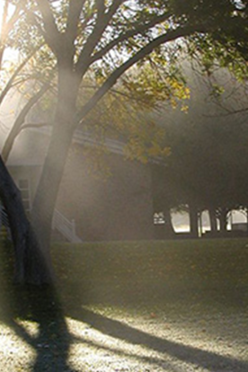 Neblina - Foto by Vontafeijos