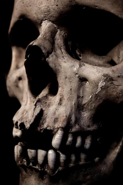 La muerte - De Uploaded in FlIckr By Kesslye CC By 2.0