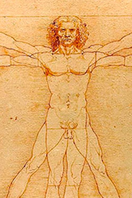 800px-Da_Vinci_Vitruve_Luc_Viatour