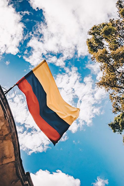 Foto: Flavia Carpio en Unsplash