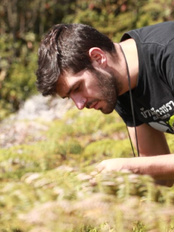Doctorado ciencias naturales