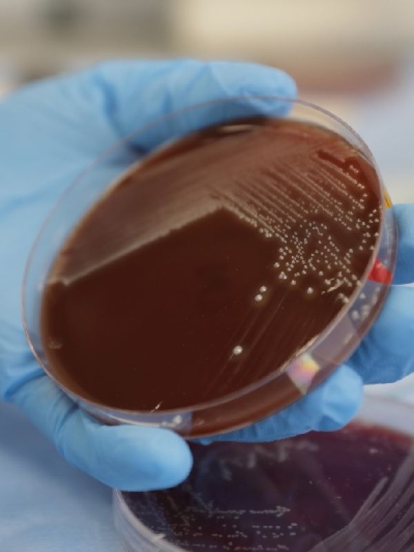 Doctorado ciencias naturales