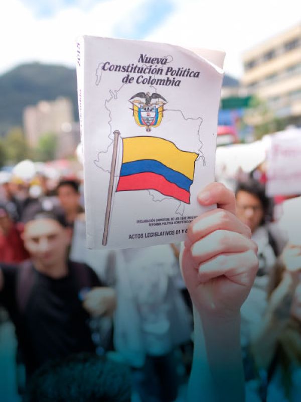Análisis de la constitución y la jurisprudencia.