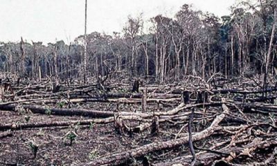 Sparks, Climate Change, and Human Activities