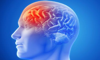 Salud cerebral, la clave para el bienestar y la prevención de enfermedades neurológicas