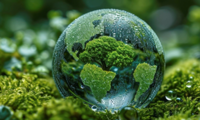 quienes-acceden-a-los-empleos-verdes