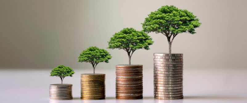 SOSTENIBILIDAD FISCAL