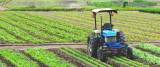 automatizacion-y-agricultur