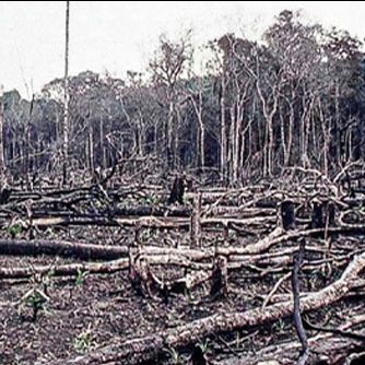 Sparks, Climate Change, and Human Activities