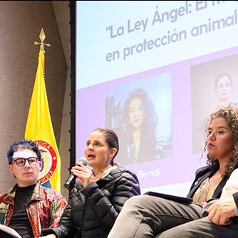 Implicaciones de la Ley Ángel. Expertos y activistas analizan los avances y retos de la nueva normativa para la protección animal