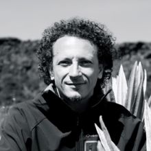 Nicola Clereci