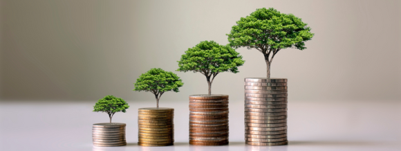 SOSTENIBILIDAD FISCAL